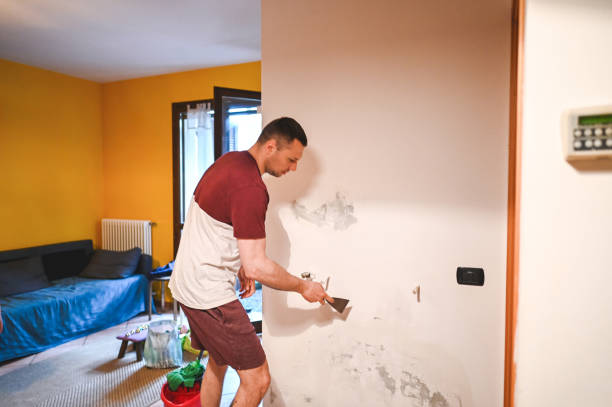 Trusted Cornwall On Hudson, NY Mold Remediation Experts